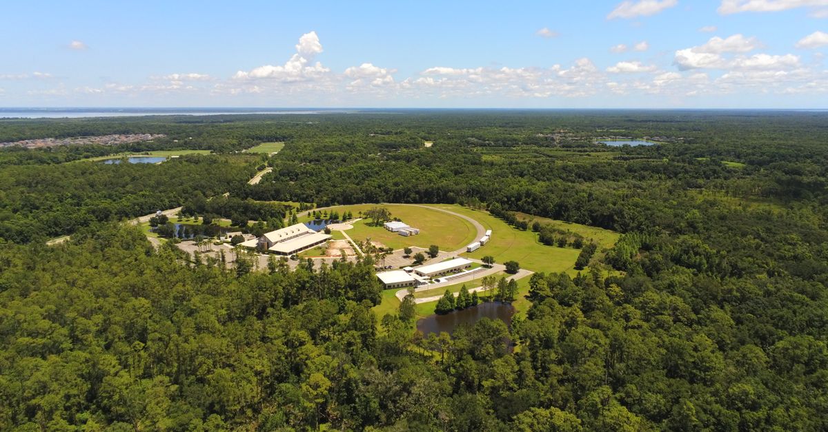 Aerial view of a resort nestled in a lush forest landscape under a clear blue sky in Oviedo, FL.