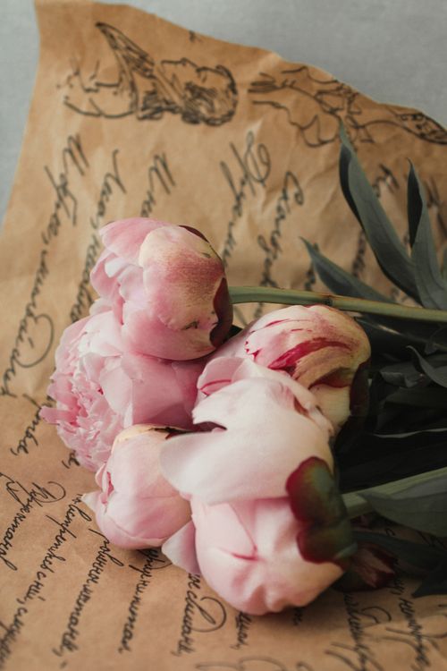 Free Elegant pink peonies resting on vintage paper with handwritten script, creating a nostalgic floral scene. Stock Photo