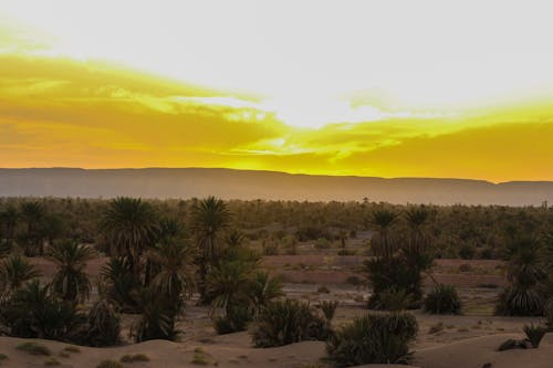 Безкоштовне стокове фото на тему «merzouga, атлас, гарний захід сонця»