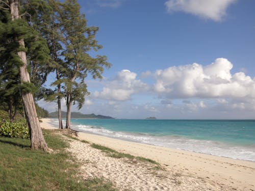 Scenic View of the White Sand Beach