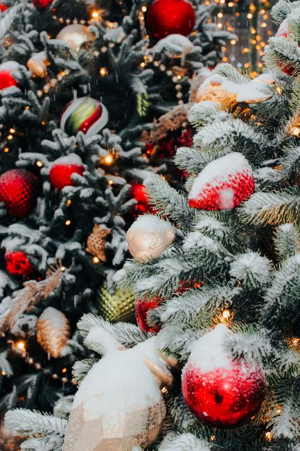 Festive Christmas trees adorned with snow, colorful ornaments, and lights.