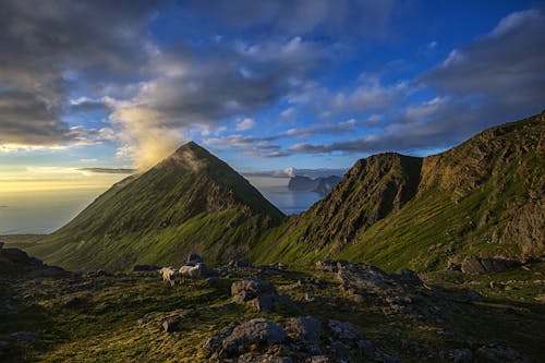 Gratis arkivbilde med blå himmel, grønne fjell, hav