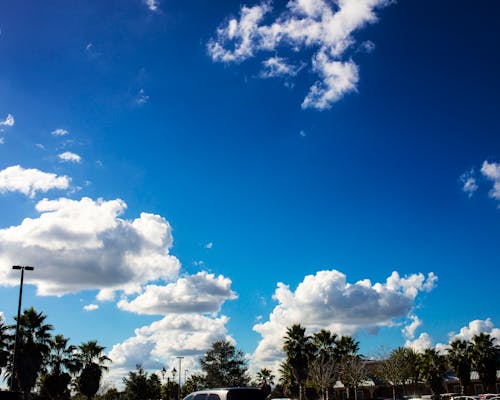 푸른 하늘의 무료 스톡 사진