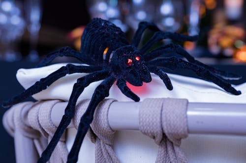 Fotos de stock gratuitas de almohada, araña, Halloween