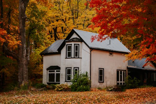 House in Woods in Autumn in Canada