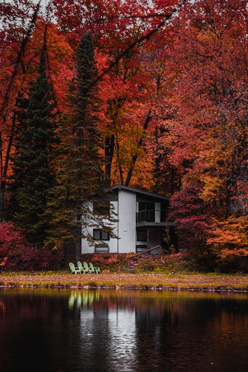 Cabin on Lakeshore in Forest in Autumn