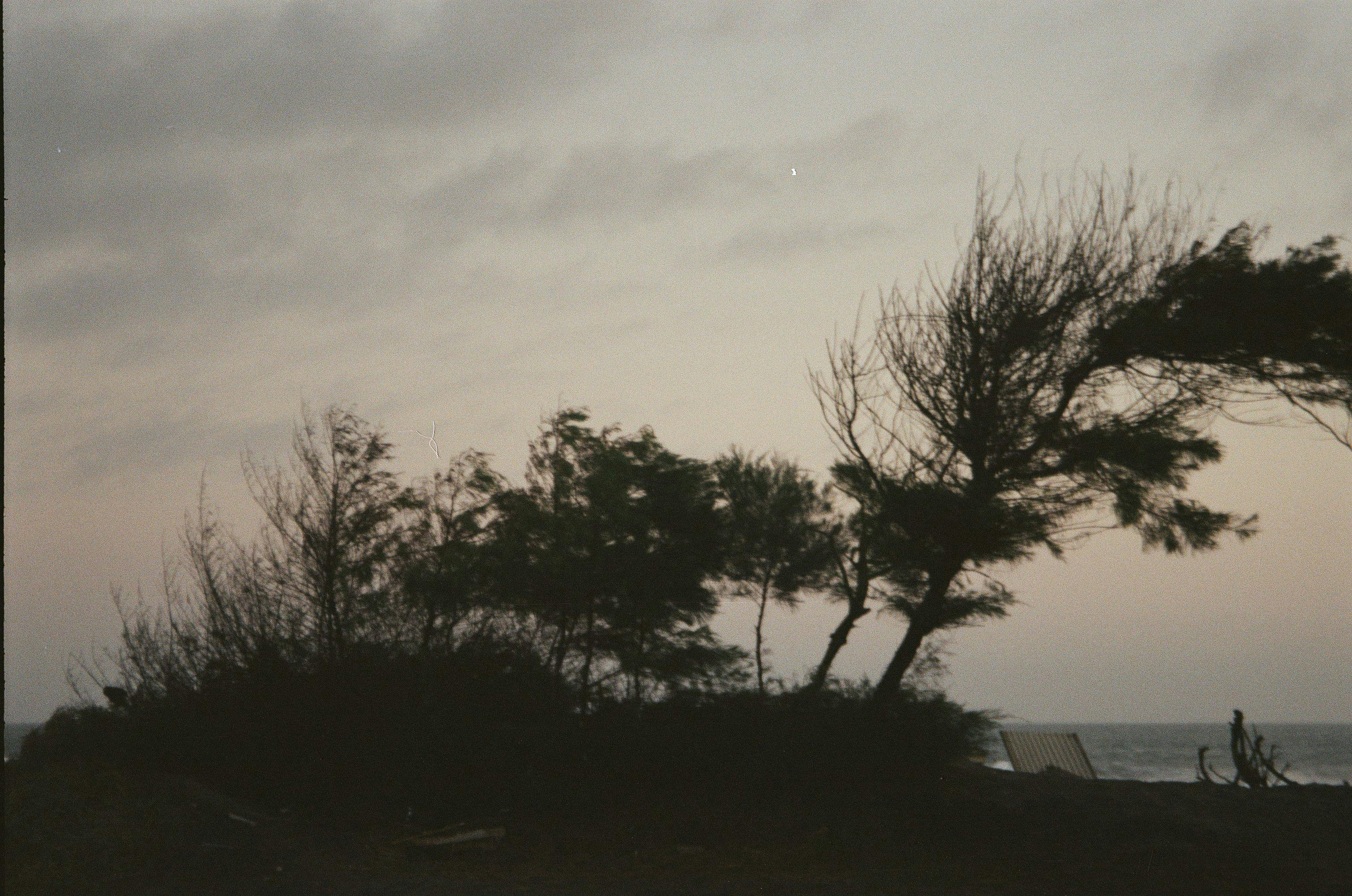 Using the Wind and Weather Pattern