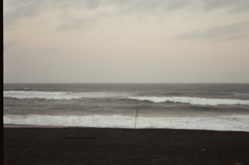 Black and White Photo of a Beach