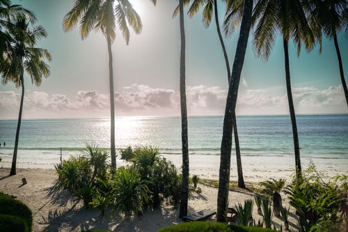 Free Idyllic tropical beach scene with tall palm trees and gentle waves at sunrise, perfect for relaxation. Stock Photo