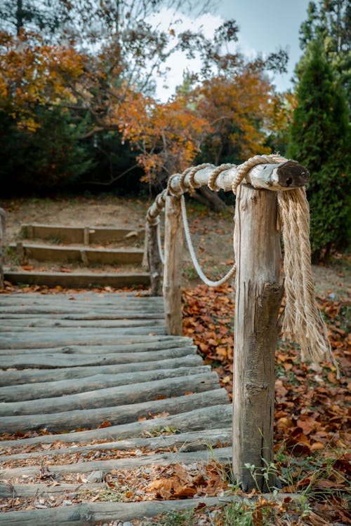 Brown Wooden Bridge With Rope