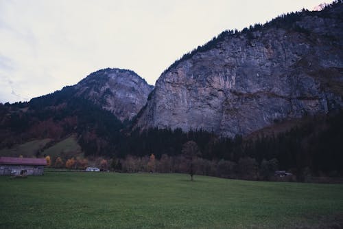 Foto profissional grátis de campo de grama, montanhas, natureza