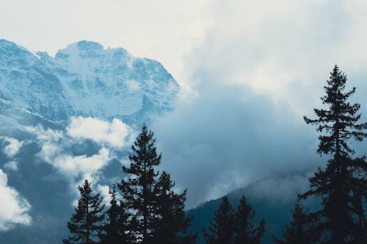 Breathtaking view of snow-covered mountains with clouds and pine trees in foreground.