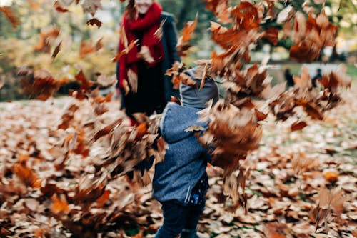 Child Running in Autumn Leaves in Park