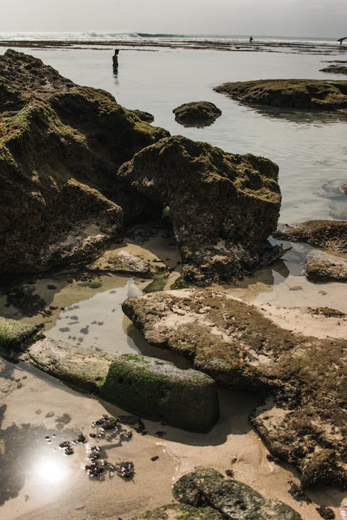 Photos gratuites de angle élevé, bord de mer, cailloux