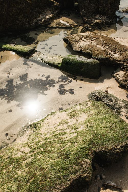 Free Sunlit moss on rocks by a serene water stream creating a peaceful and natural scene. Stock Photo