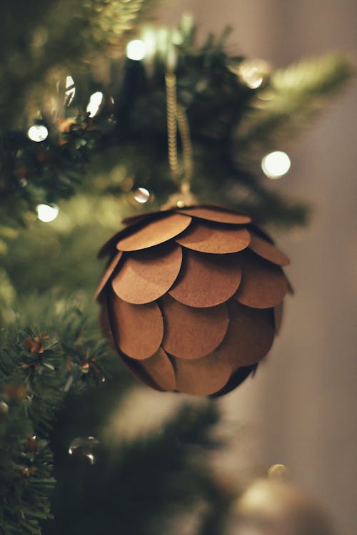 クリスマスツリー, コーン, ライトの無料の写真素材
