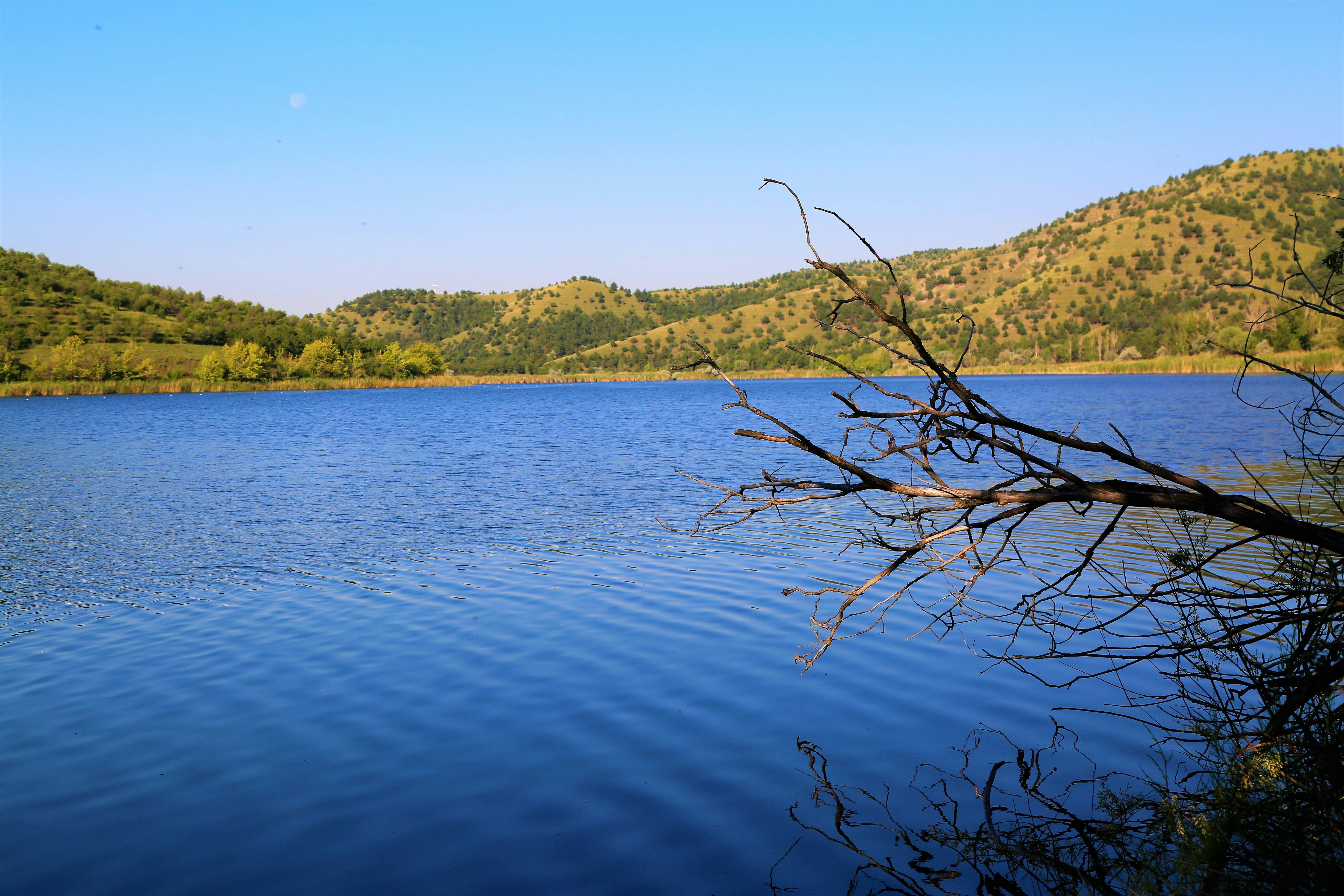 Mind garden sunny and stormy