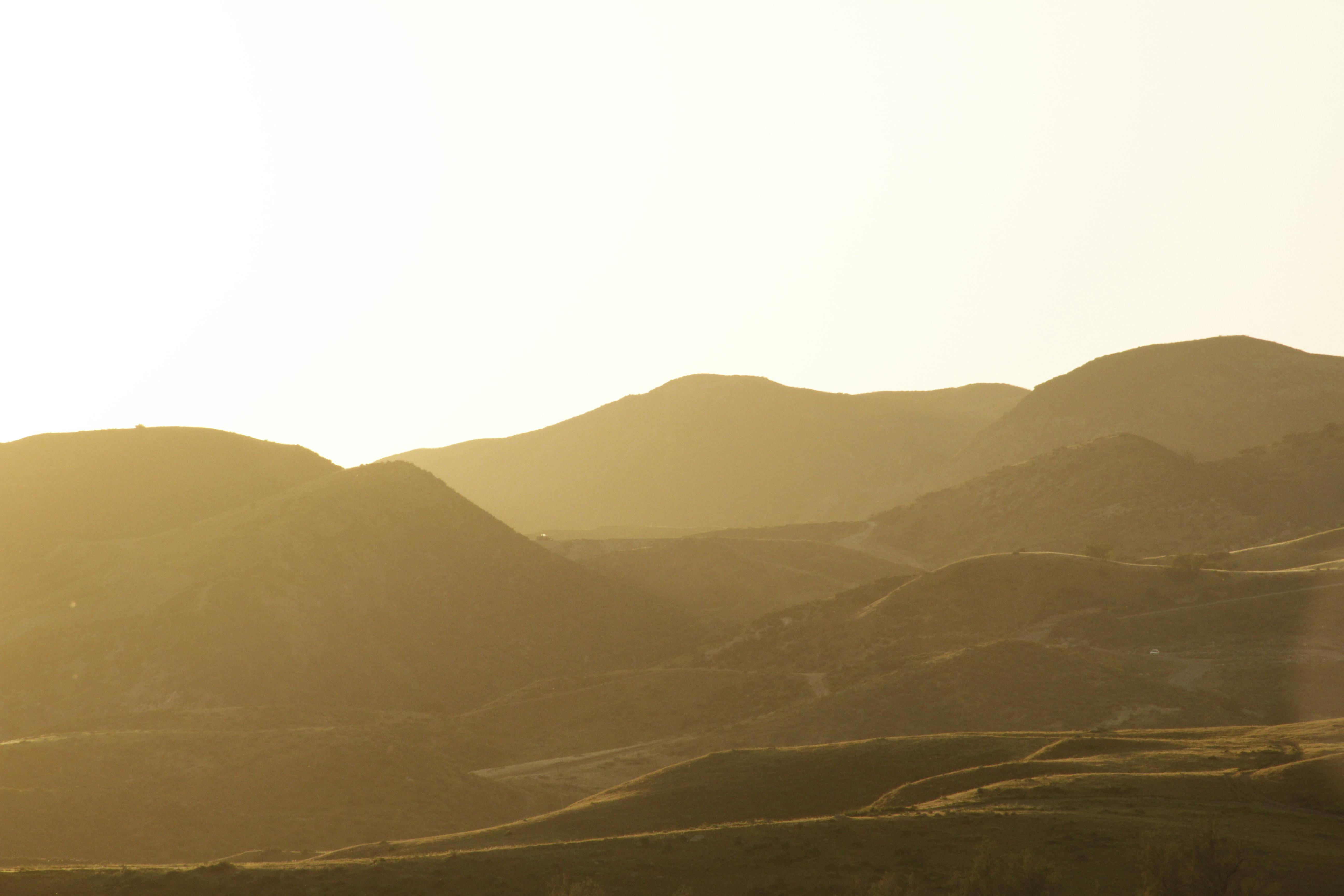 Free stock photo of golden hour