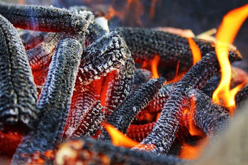 Kostnadsfri bild av aska, brand, brinnande