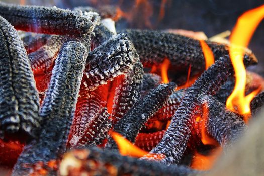 Close-up of Burning Cobs 