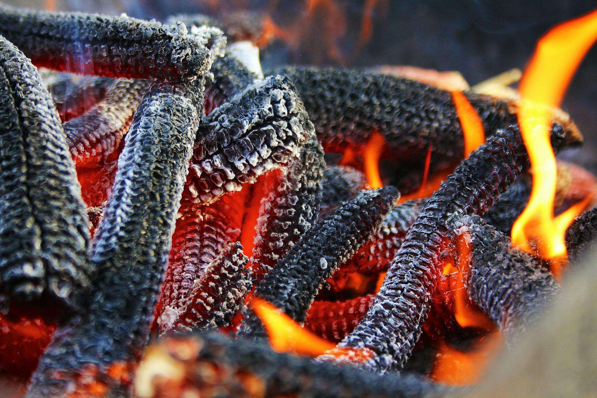 Close-up of Burning Cobs 