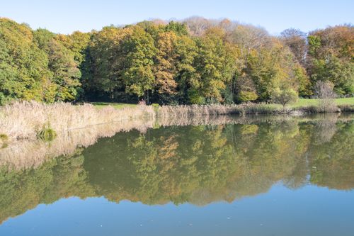 Free Tranquil autumn scene of a lake reflecting colorful trees under clear skies. Stock Photo