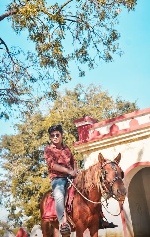 Photos gratuites de à cheval, andhra pradesh, arbre neem