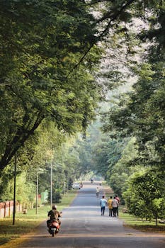 A peaceful road with people biking and walking under lush green trees, perfect for a nature stroll.