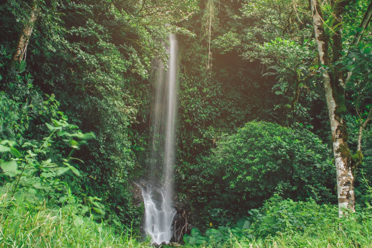 Philippines Waterfall