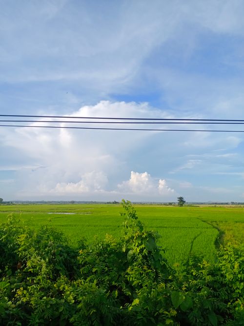Free Expansive green fields under a clear blue sky in Ba Ria - Vung Tau, Vietnam. Stock Photo