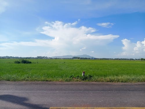 Immagine gratuita di campo d'erba, cielo nuvoloso, terreno edificabile