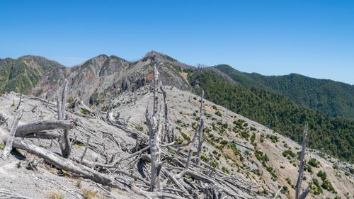 Free Stark, eroded landscape with dead trees in Chaiten, Los Lagos, Chile. Stock Photo