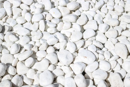 Close-up of smooth white pebbles creating a natural textured background.