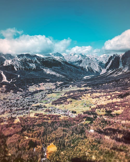 Valley with Forest in Mountains