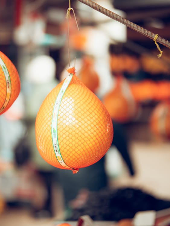 Close-up of a Pomelo Hanging in a Net · Free Stock Photo