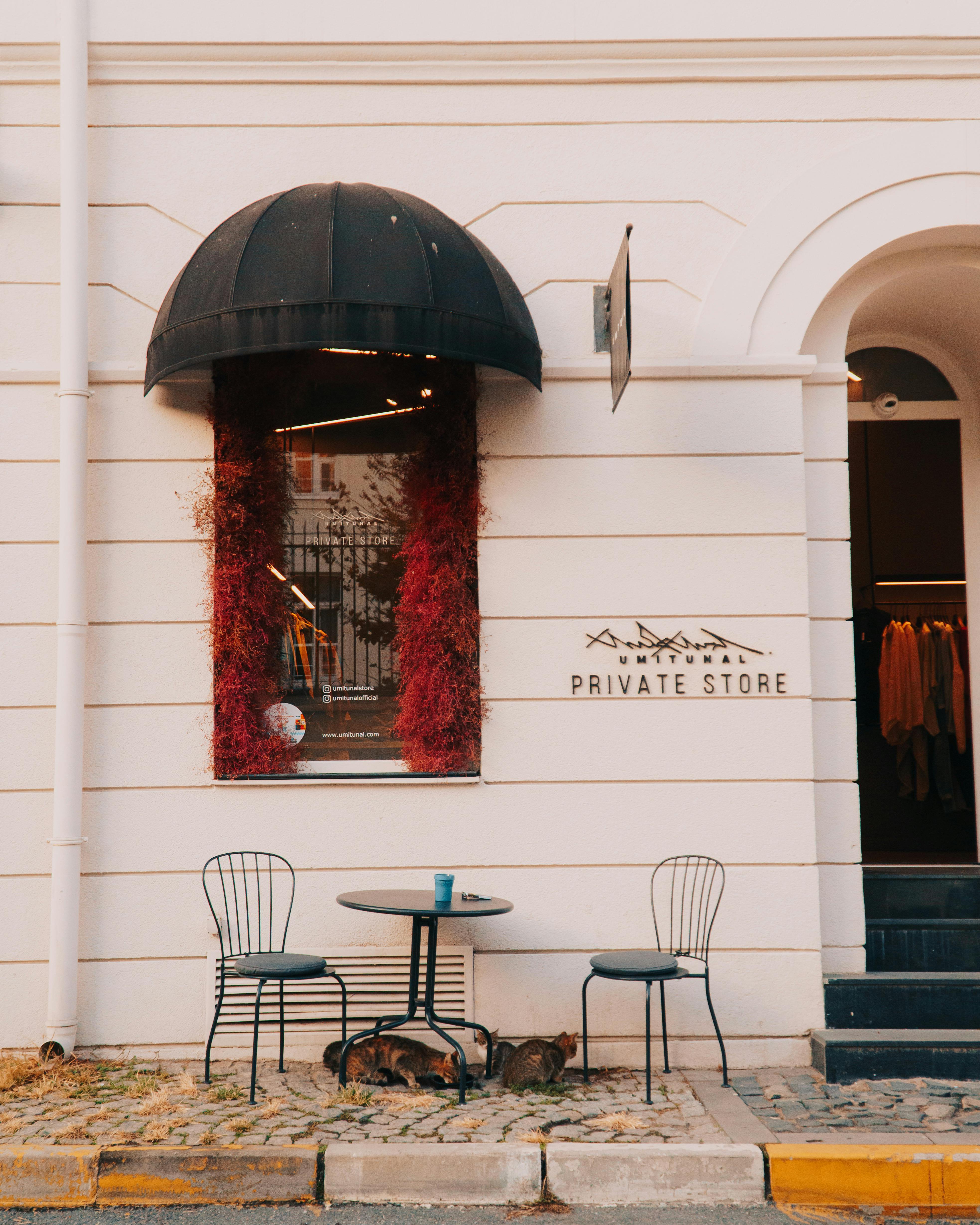 Can dogs and cats mate?