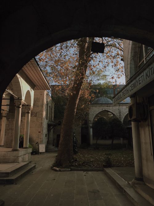 Free An atmospheric courtyard scene with historic architecture and a central tree under soft daylight. Stock Photo