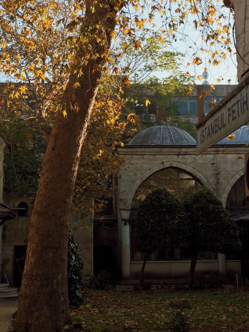 Free Charming autumn scene with falling leaves at the historic Istanbul Fethiye Mosque courtyard. Stock Photo