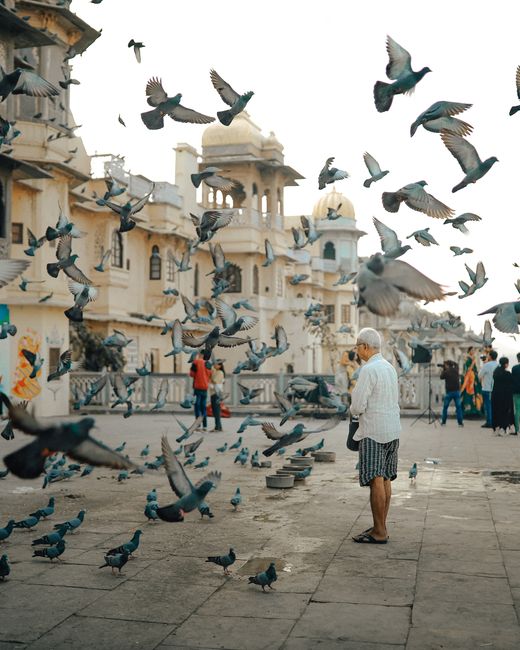 A bustling scene of pigeons in flight near a historic building with people walking on the street.