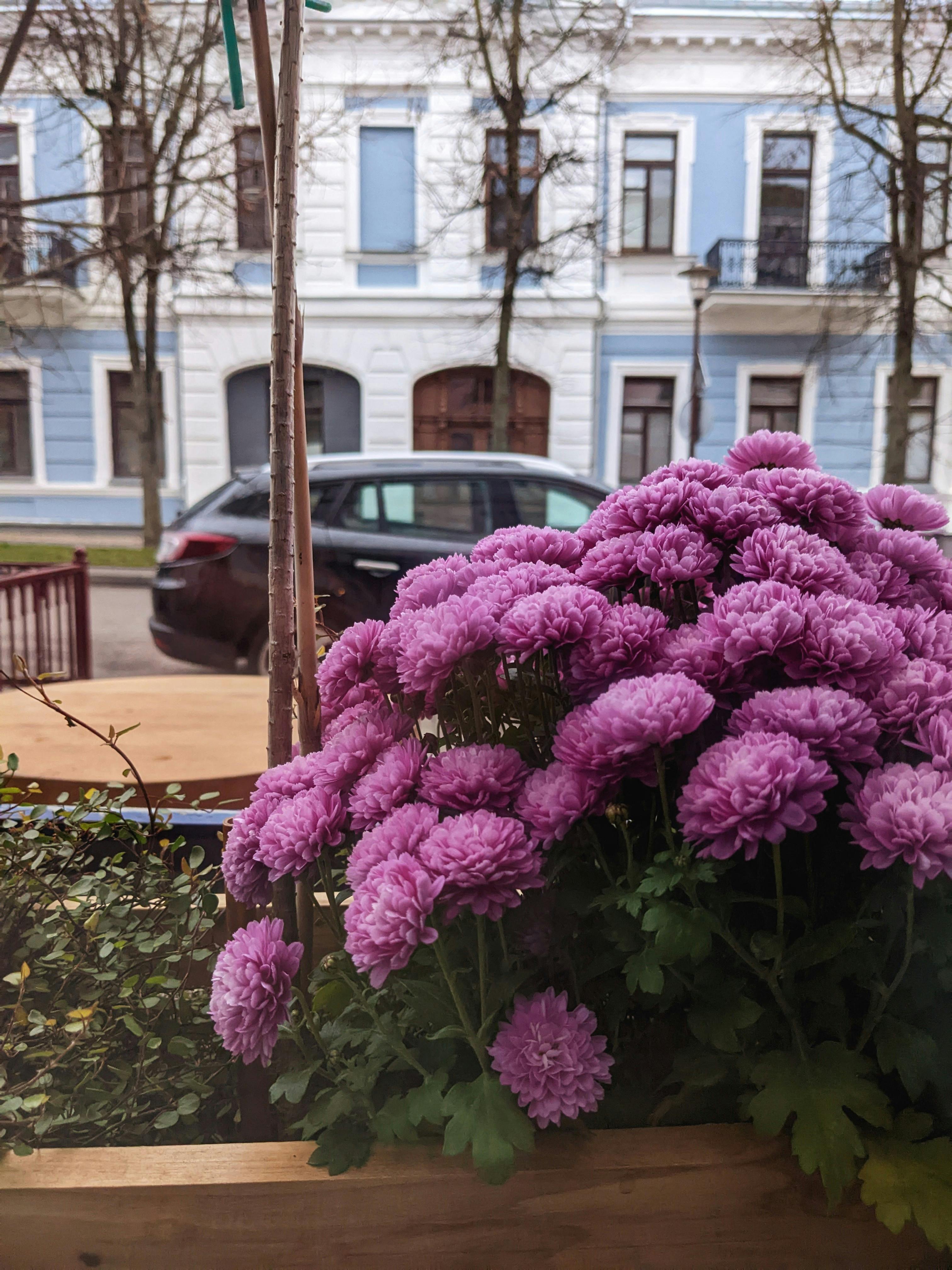 What color is greed?