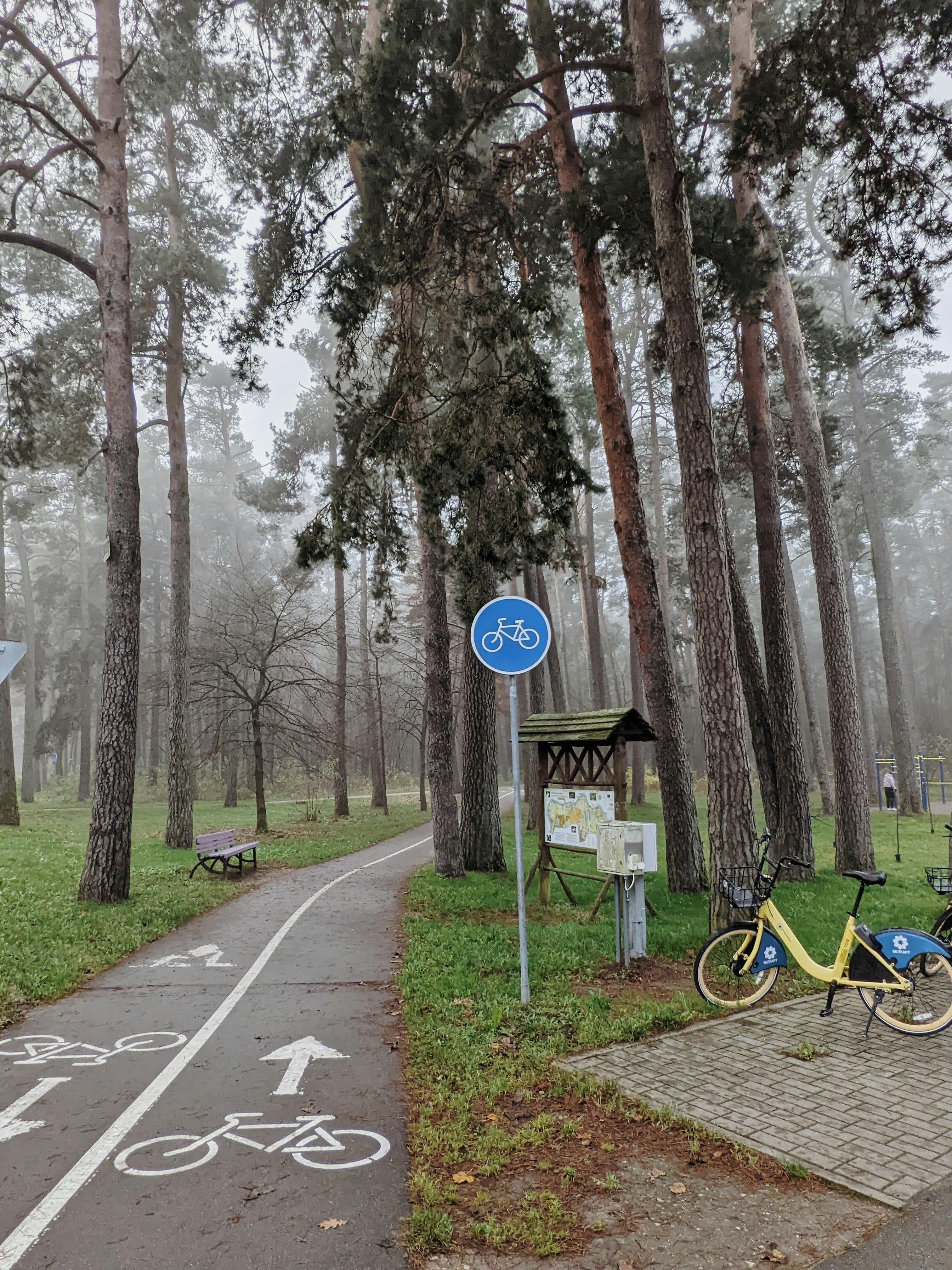 Les sentiers pédestres cachés dans la forêt domaniale d'Hossegor