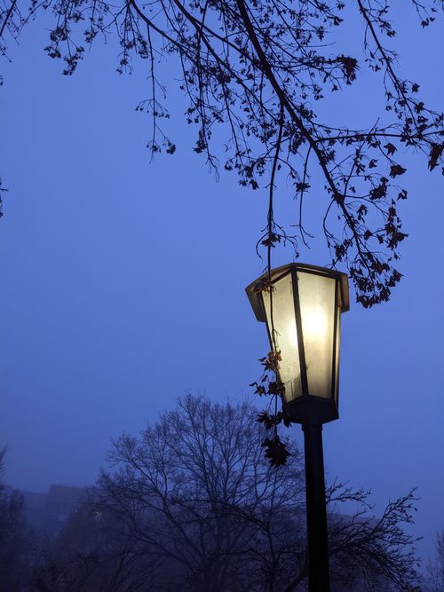 Free A serene view of a streetlight surrounded by fog and bare trees on a misty evening in Hrodna, Belarus. Stock Photo