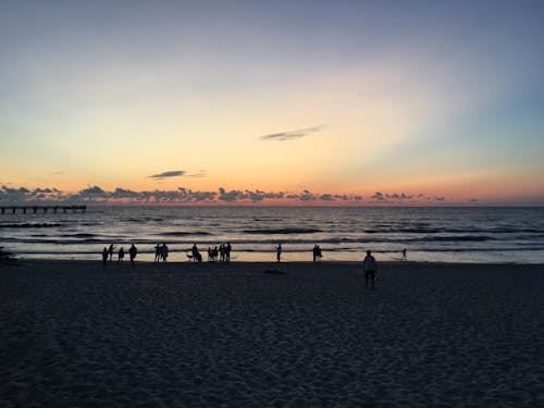 Silhouette of People on the Beach during Sunset