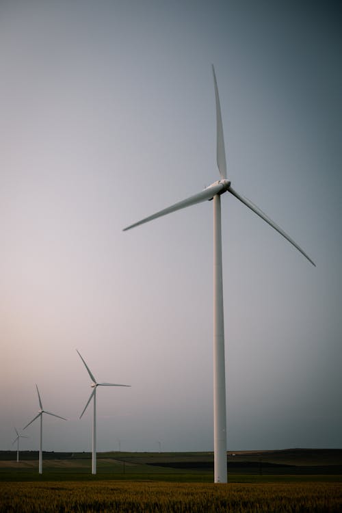 White Wind Turbines on the Field