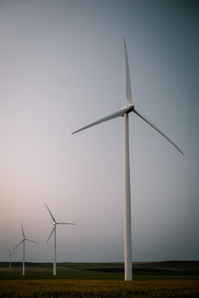 Three wind turbines stand in a golden field, representing the renewable capacity that grid-forming storage supports