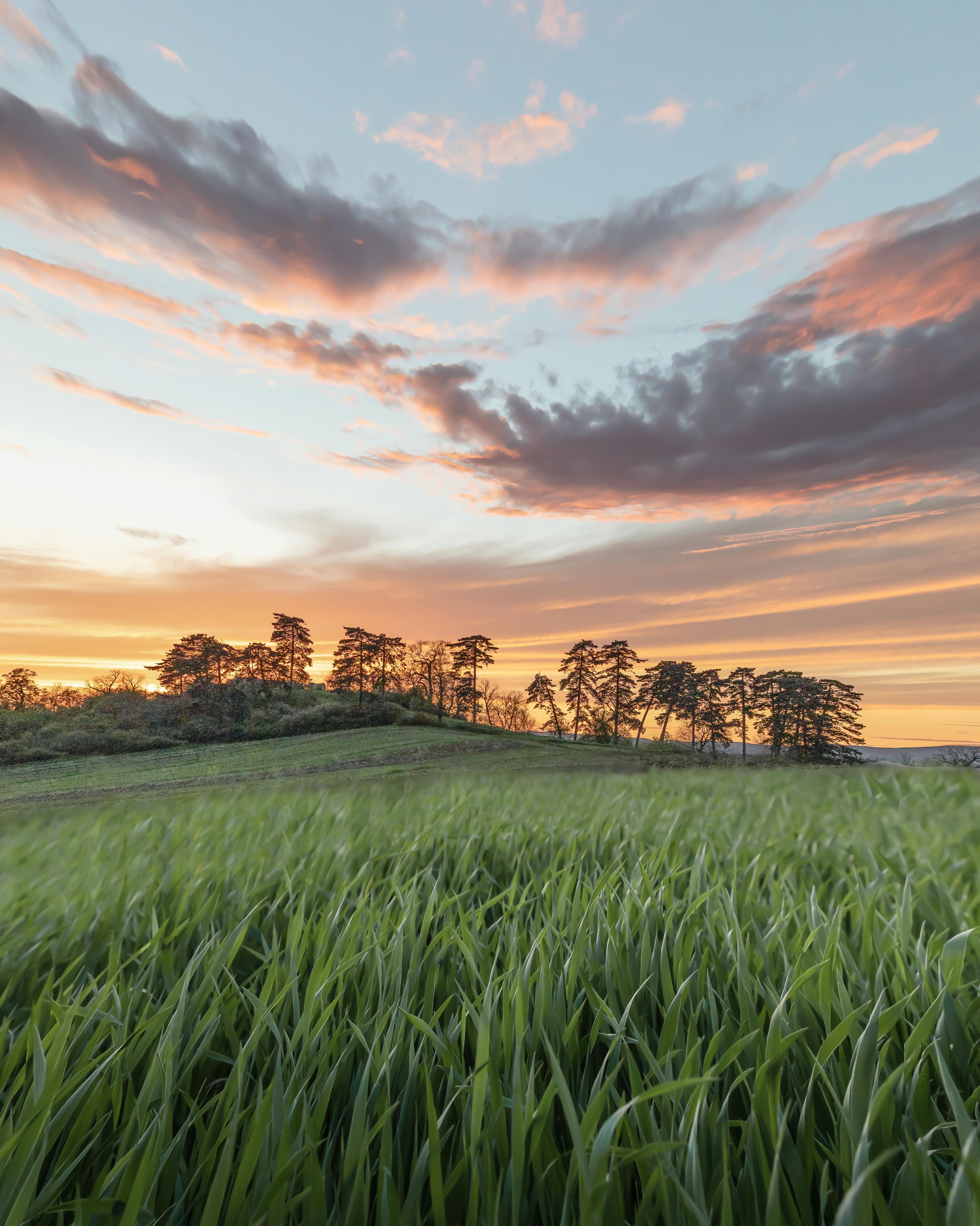 What is our sun called?