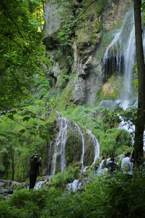 Waterfalls in the Foest