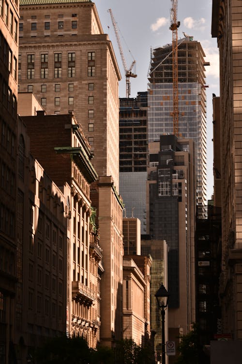 Foto d'estoc gratuïta de alçades, àrea metropolitana, centre de la ciutat