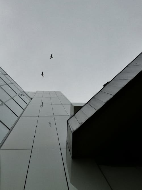 Ilmainen kuvapankkikuva tunnisteilla arkkitehtuuri, harmaasävyt, korkea kerrostalo