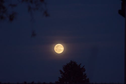 スペース, 夜, 天文学の無料の写真素材